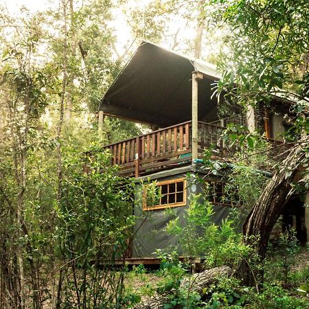 Fernhill Tented Treehouses Rheenendal Eksteriør bilde