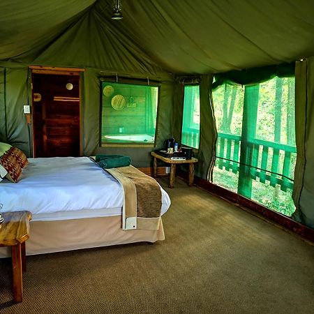 Fernhill Tented Treehouses Rheenendal Eksteriør bilde