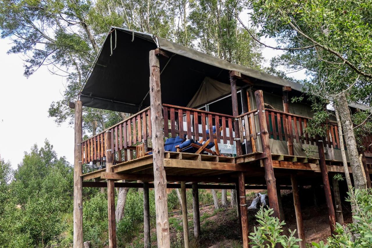 Fernhill Tented Treehouses Rheenendal Eksteriør bilde