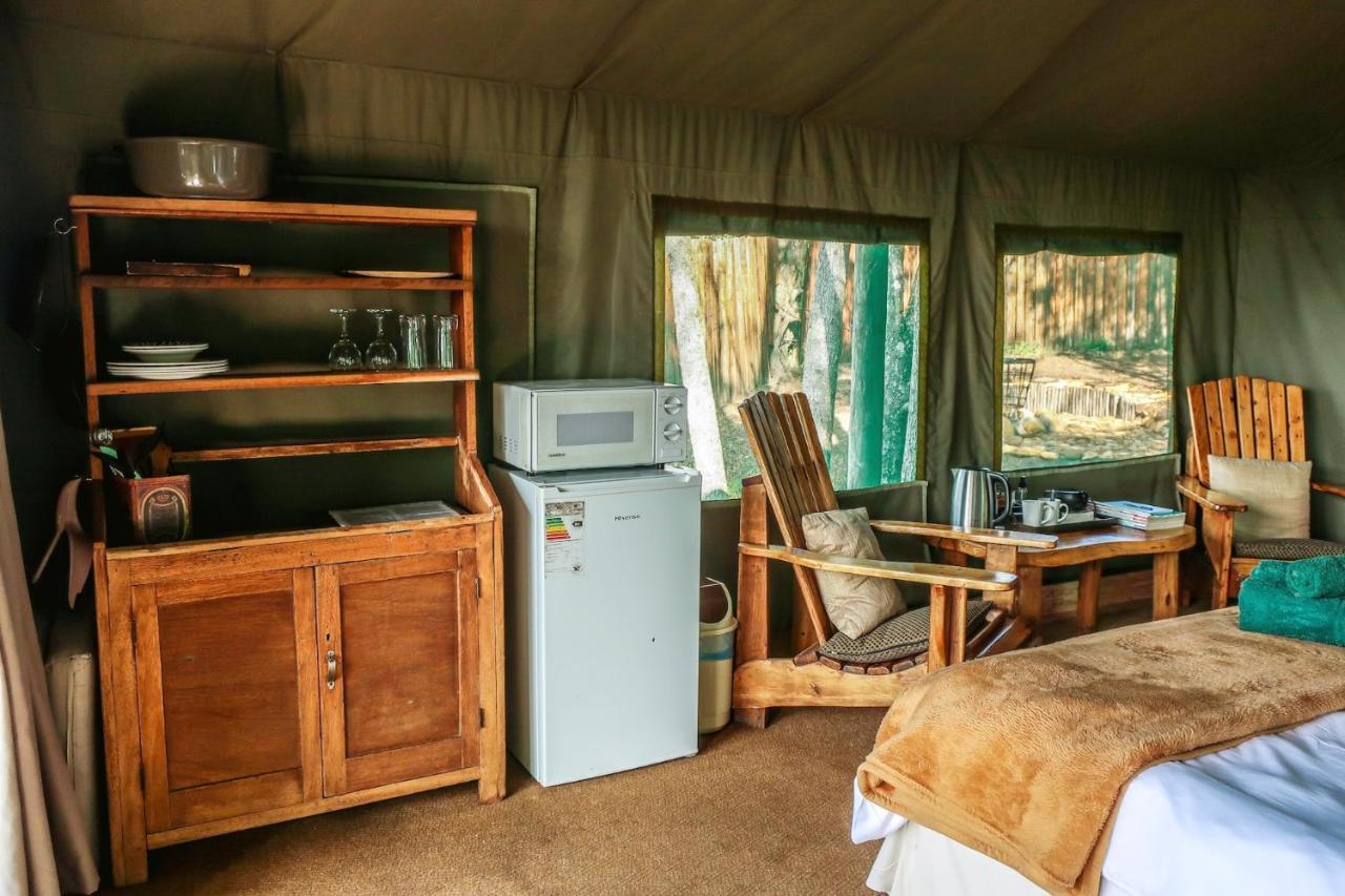 Fernhill Tented Treehouses Rheenendal Eksteriør bilde
