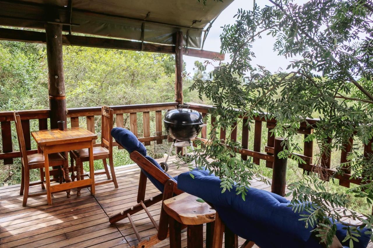 Fernhill Tented Treehouses Rheenendal Eksteriør bilde