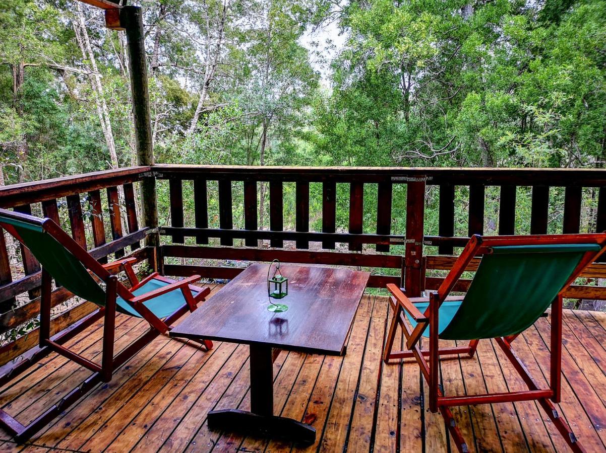 Fernhill Tented Treehouses Rheenendal Eksteriør bilde