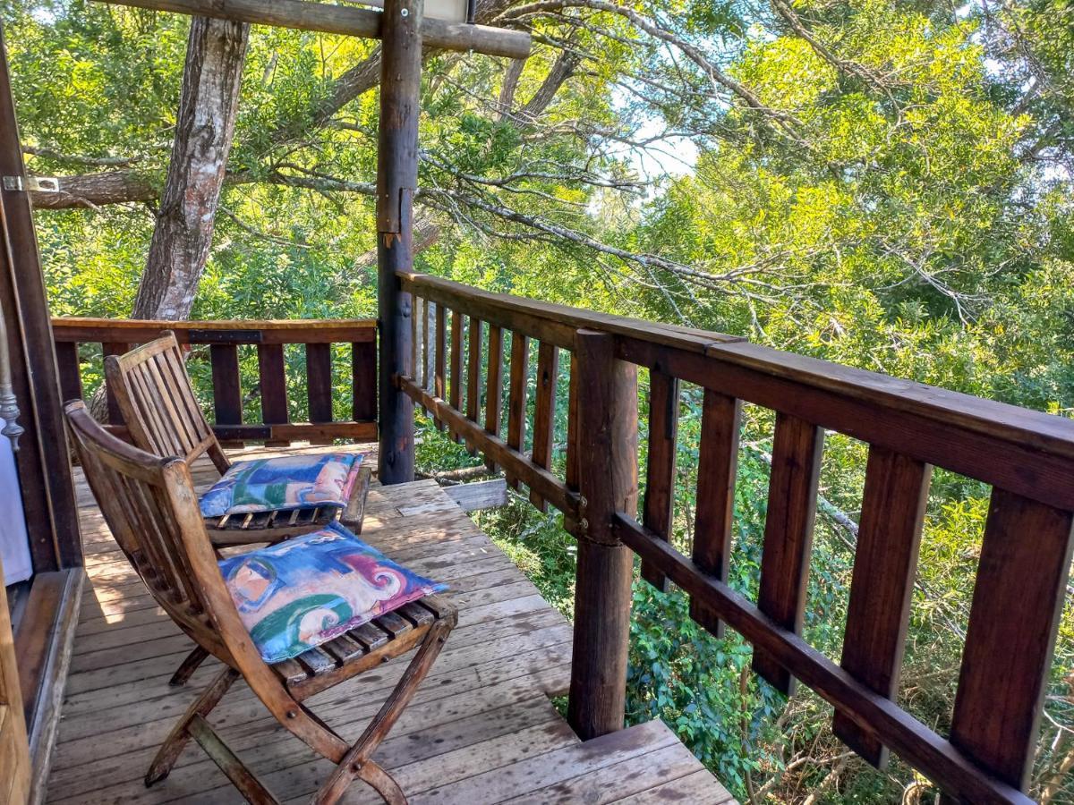 Fernhill Tented Treehouses Rheenendal Eksteriør bilde