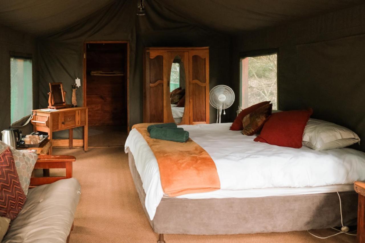 Fernhill Tented Treehouses Rheenendal Eksteriør bilde