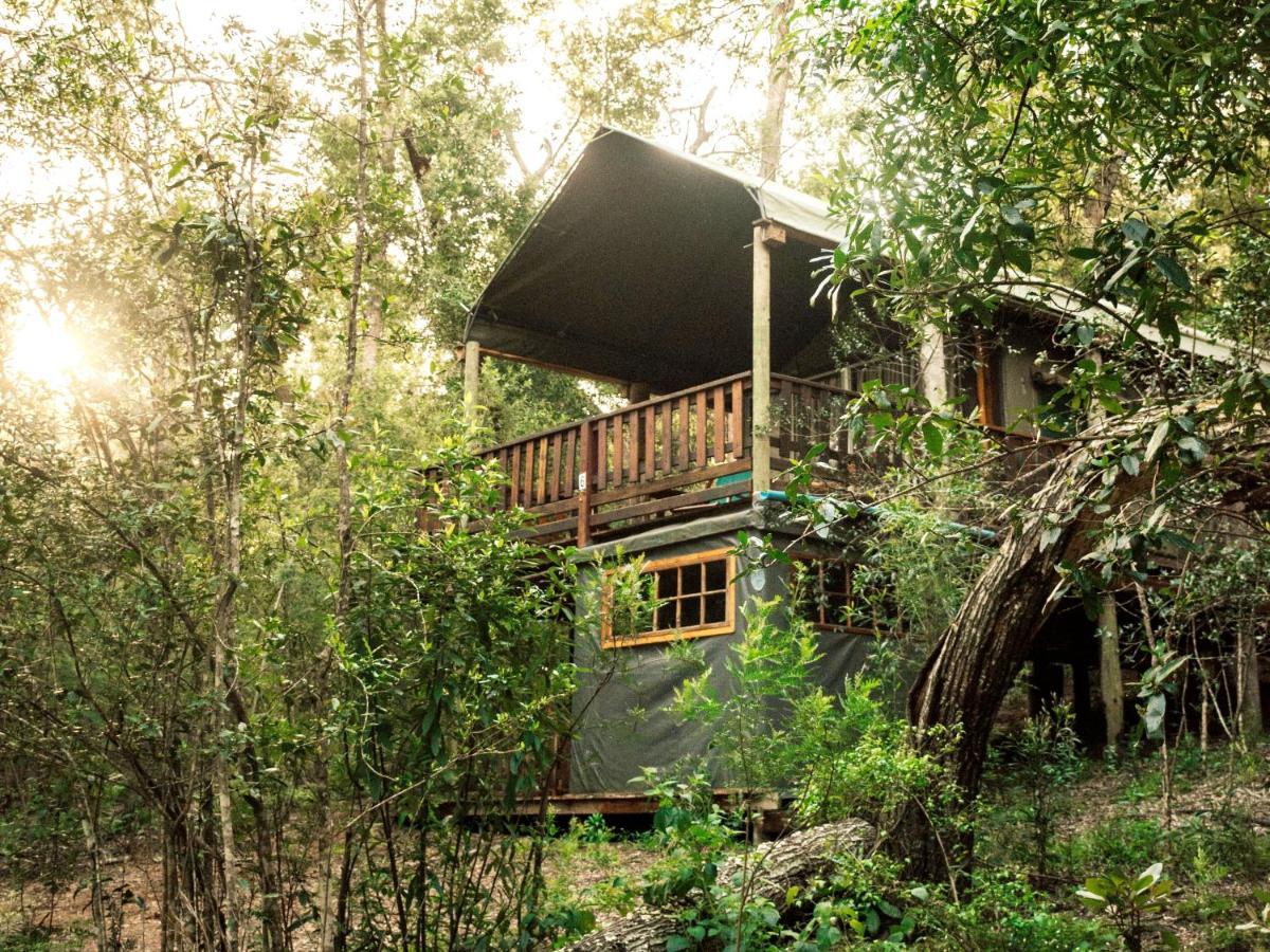 Fernhill Tented Treehouses Rheenendal Eksteriør bilde