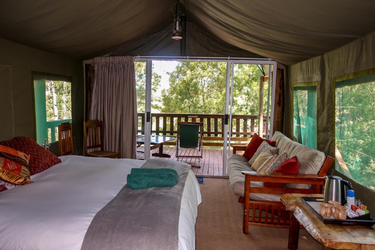 Fernhill Tented Treehouses Rheenendal Eksteriør bilde