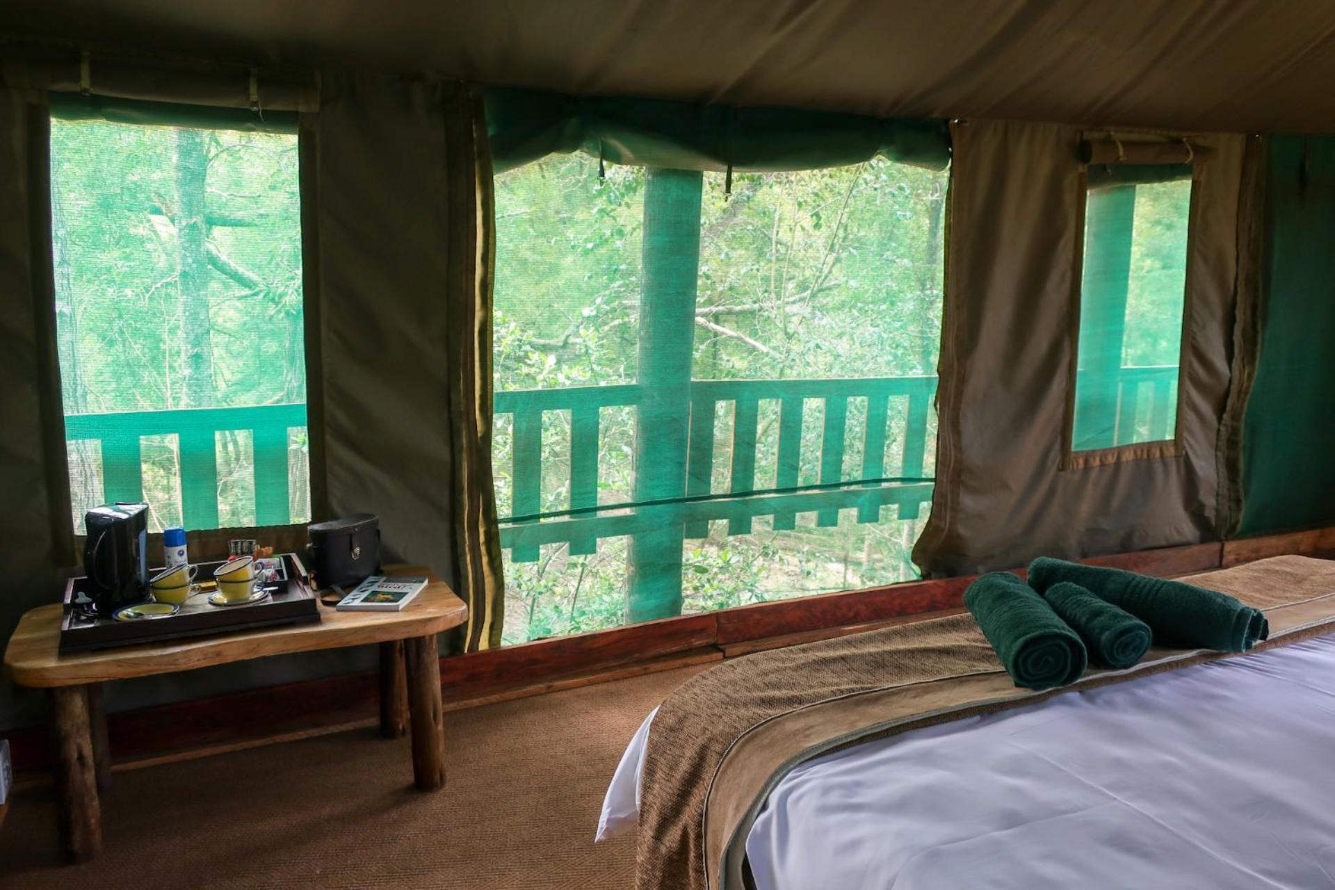 Fernhill Tented Treehouses Rheenendal Rom bilde