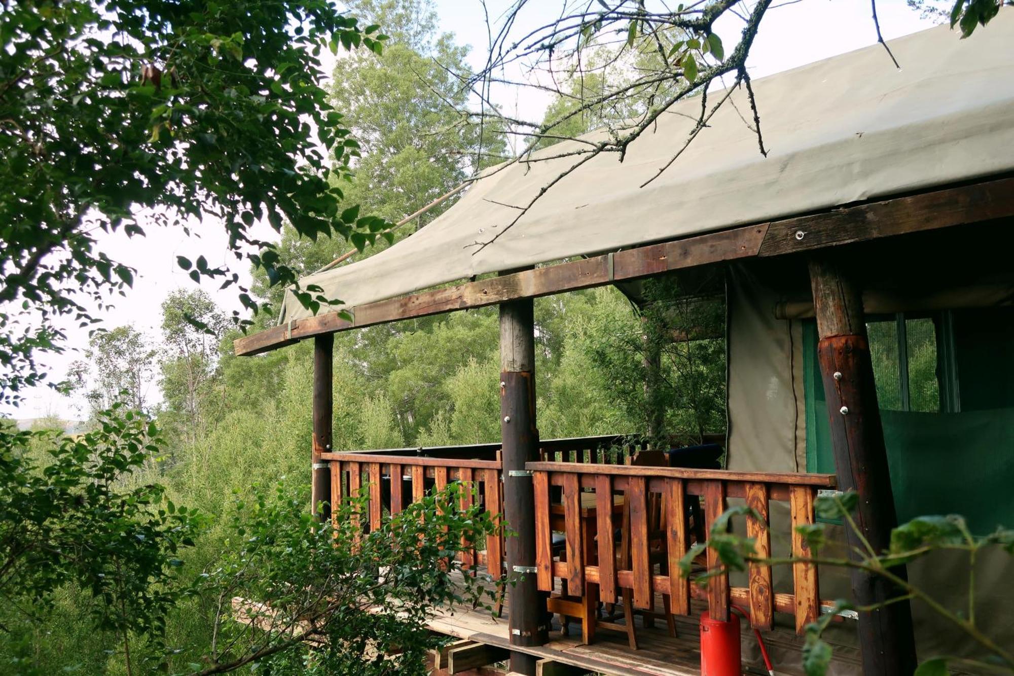 Fernhill Tented Treehouses Rheenendal Rom bilde