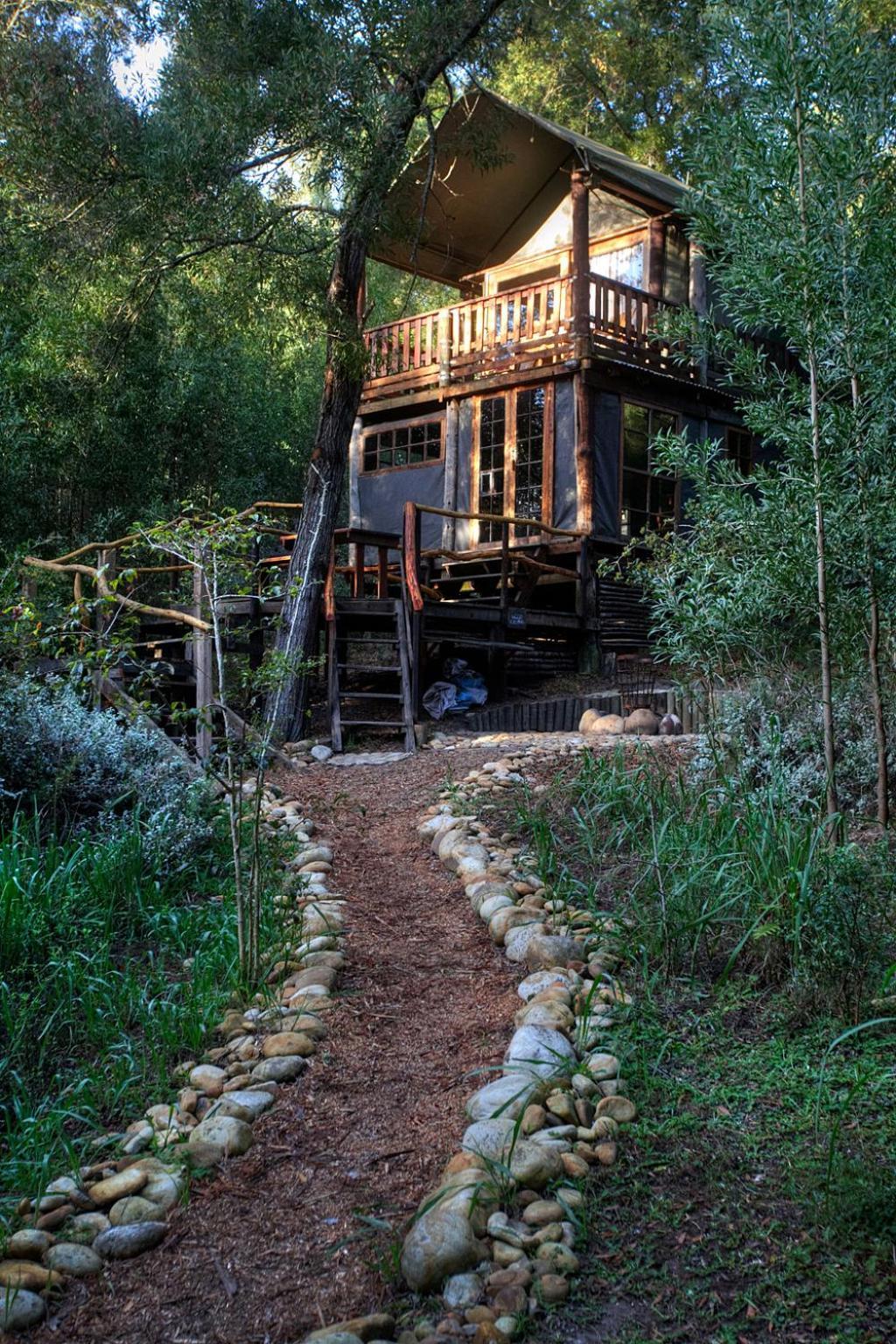 Fernhill Tented Treehouses Rheenendal Rom bilde