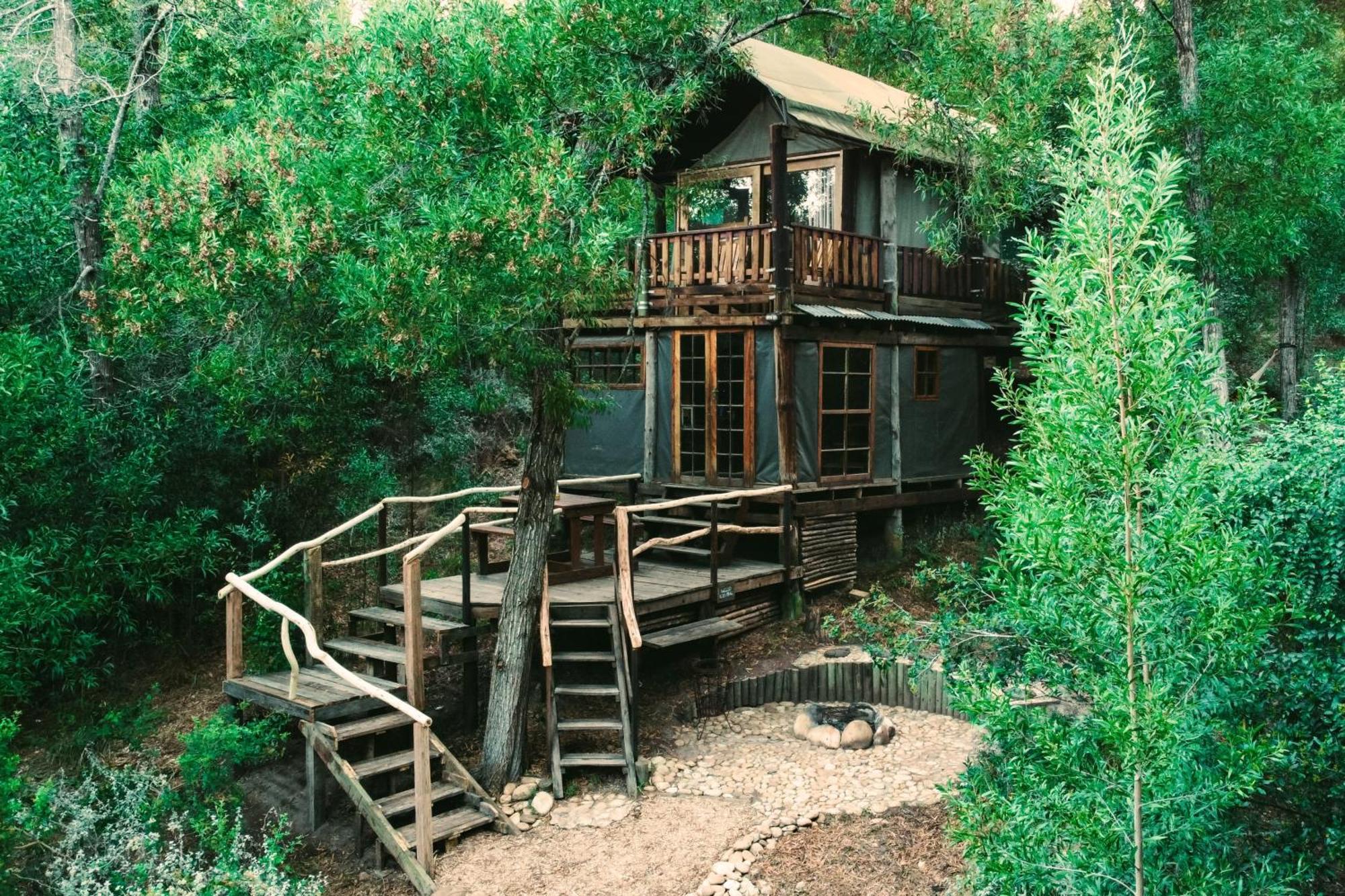 Fernhill Tented Treehouses Rheenendal Eksteriør bilde